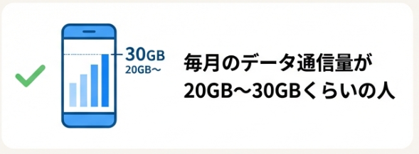 毎月のデータ使用量が20GB〜30GB程度の人